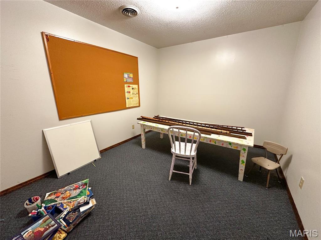 304 North 5th Street Ava, IL 62907 - Photo 17 of 32