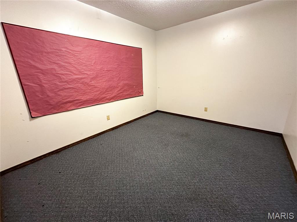 304 North 5th Street Ava, IL 62907 - Photo 18 of 32