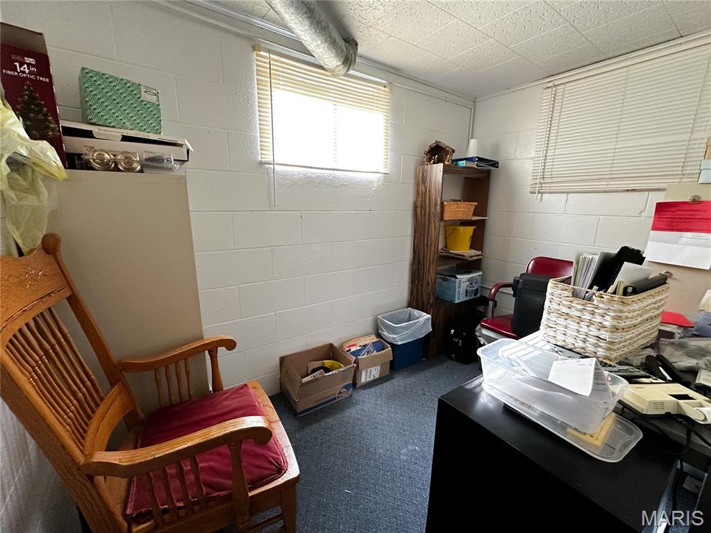 304 North 5th Street Ava, IL 62907 - Photo 19 of 32