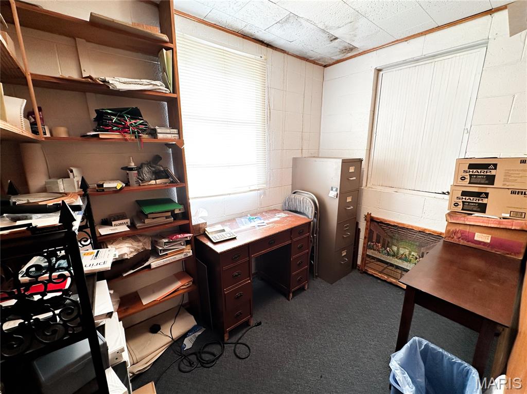 304 North 5th Street Ava, IL 62907 - Photo 7 of 32