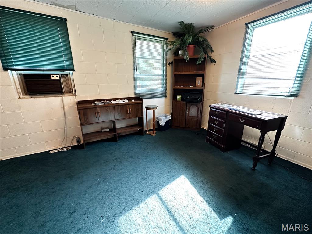 304 North 5th Street Ava, IL 62907 - Photo 10 of 32