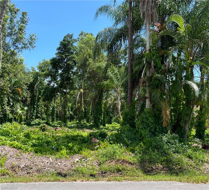 335 Porter Street Naples, FL 34113 - Photo 7 of 7