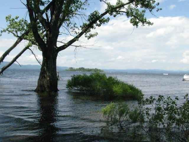 111 Pike Street Broadalbin, NY 12025 - Photo 2 of 12 Photo 2