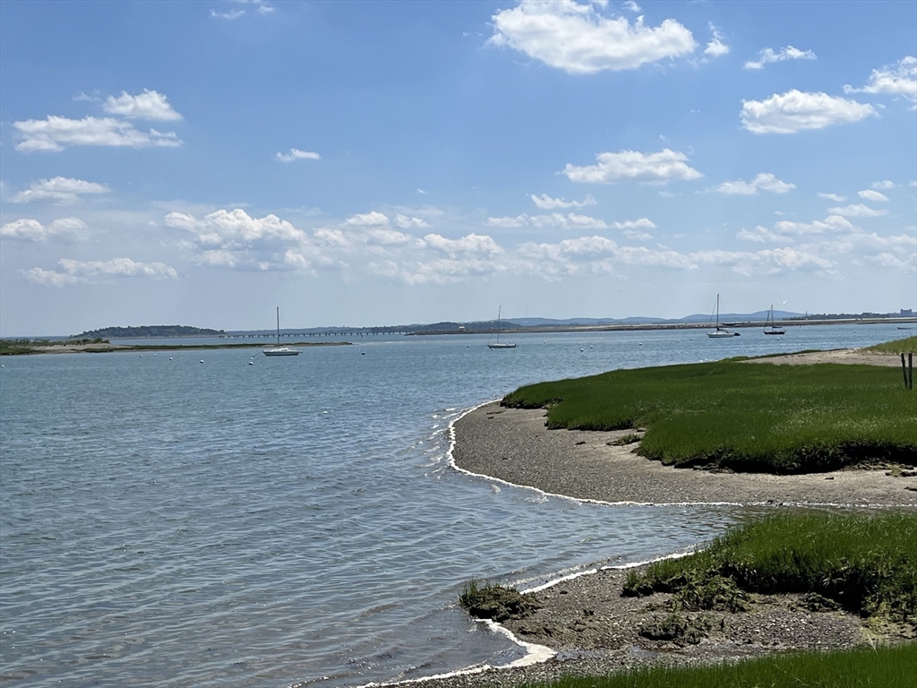 17 Winthrop Street Winthrop, MA 02152 - Photo 20 of 33 a view of a swimming pool in the backyard of a house