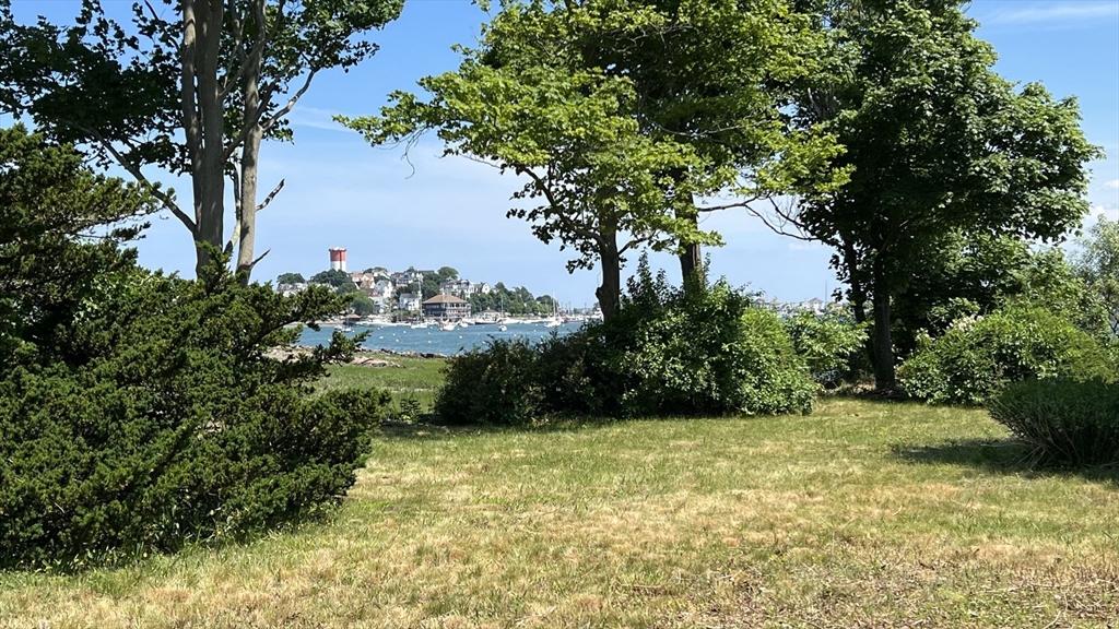 17 Winthrop Street Winthrop, MA 02152 - Photo 23 of 33 a view of a yard with plants and large trees