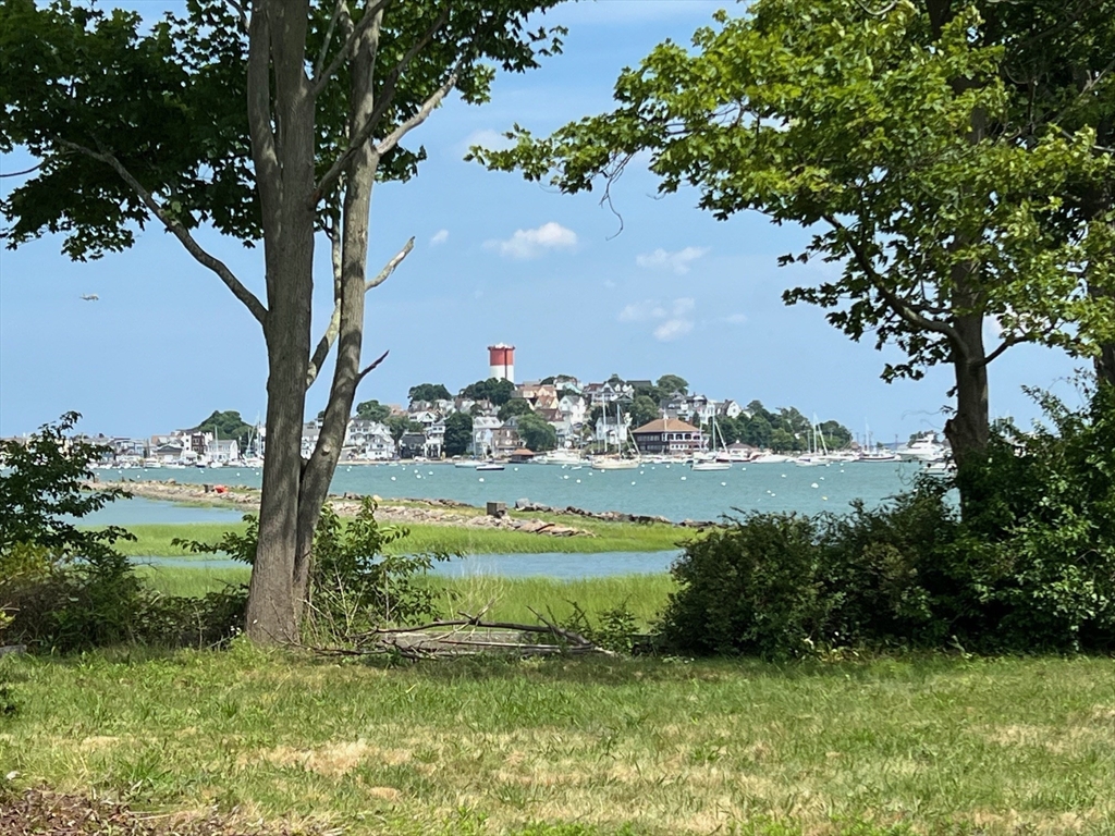 17 Winthrop Street Winthrop, MA 02152 - Photo 4 of 33 a view of a garden with a lake