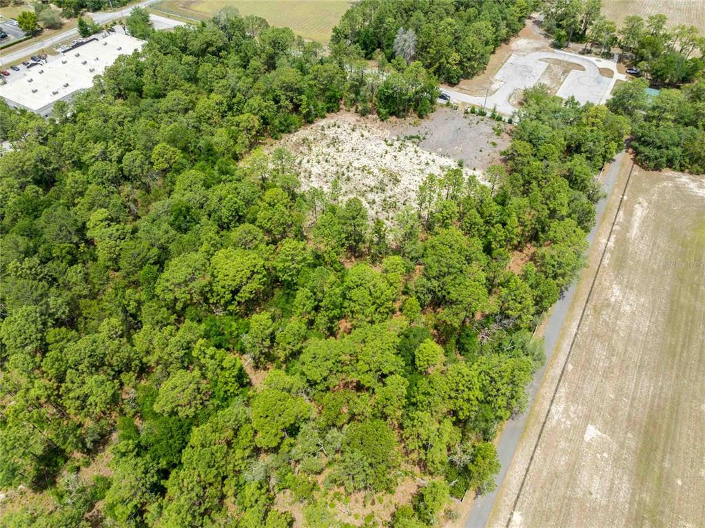 15022 Gar Street Spring Hill, FL 34609 - Photo 11 of 26 Gallery Image 11
