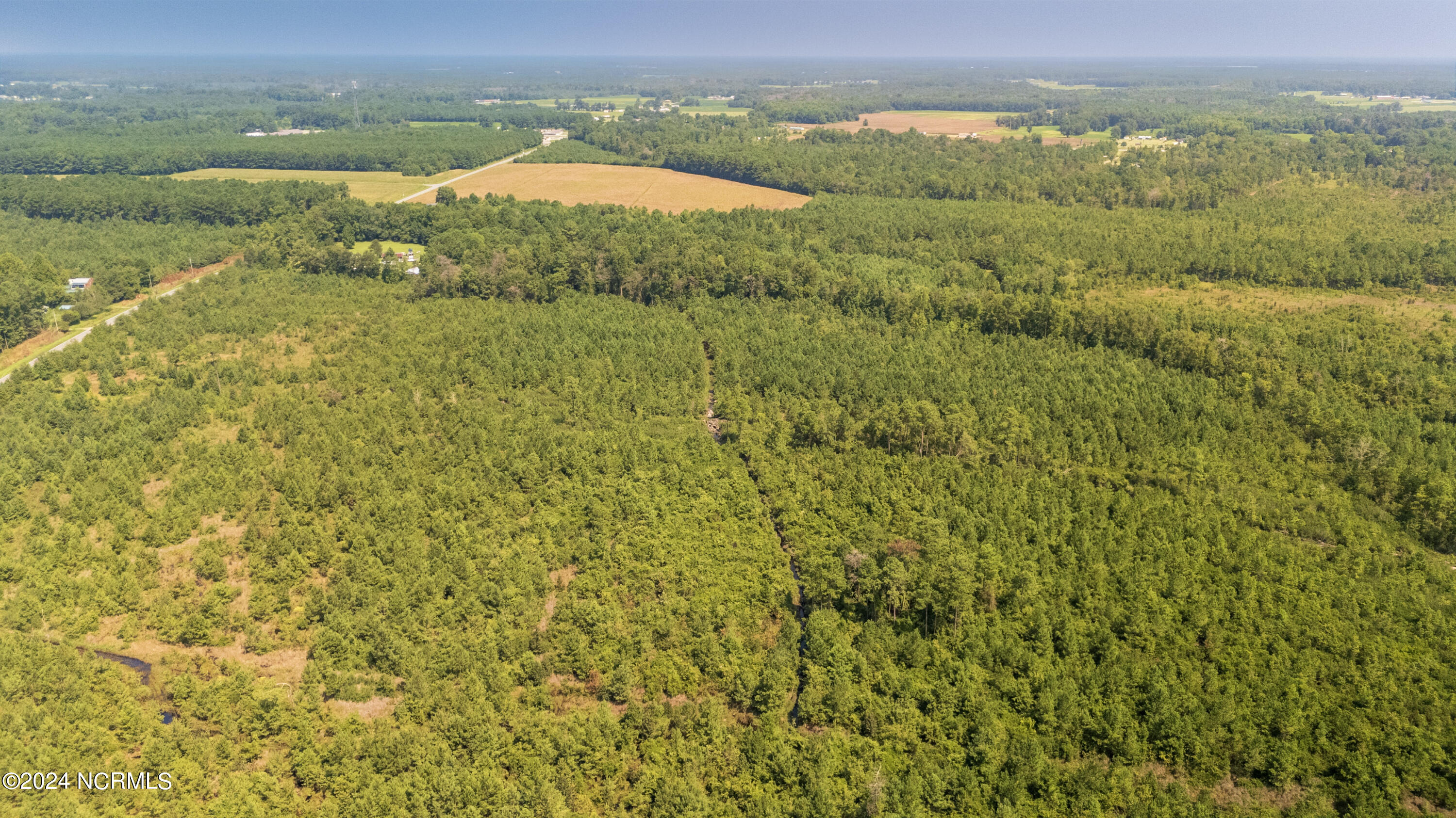 Tbd Tbd Fountaintown Road Chinquapin, NC 28521 - Photo 9 of 16 6-DJI_20240816114421_0015_D-HDR
