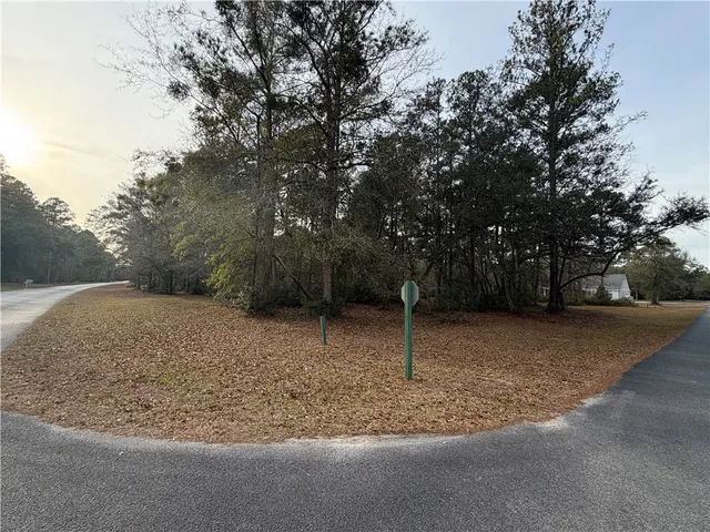 $29,900 | 682 Wood Stork Drive Northeast, Townsend, GA 31331