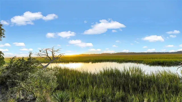 $29,900 | 682 Wood Stork Drive Northeast, Townsend, GA 31331