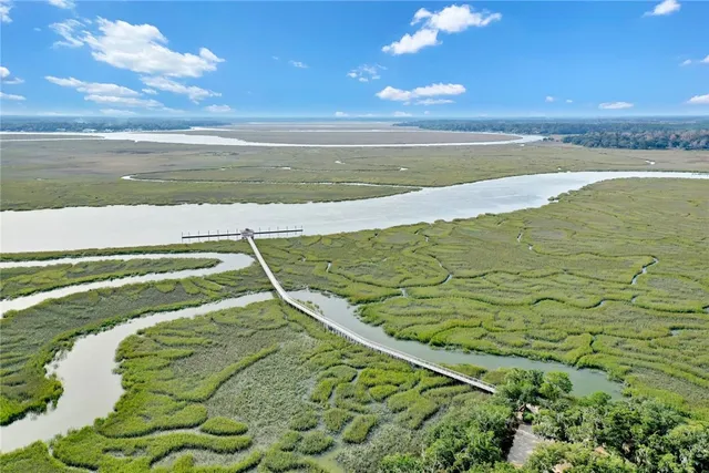 $29,900 | 682 Wood Stork Drive Northeast, Townsend, GA 31331