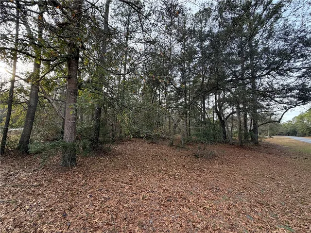 $29,900 | 682 Wood Stork Drive Northeast, Townsend, GA 31331