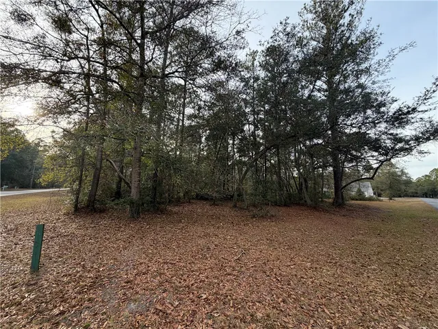 $29,900 | 682 Wood Stork Drive Northeast, Townsend, GA 31331
