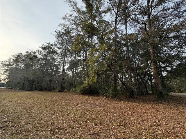 $29,900 | 682 Wood Stork Drive Northeast, Townsend, GA 31331