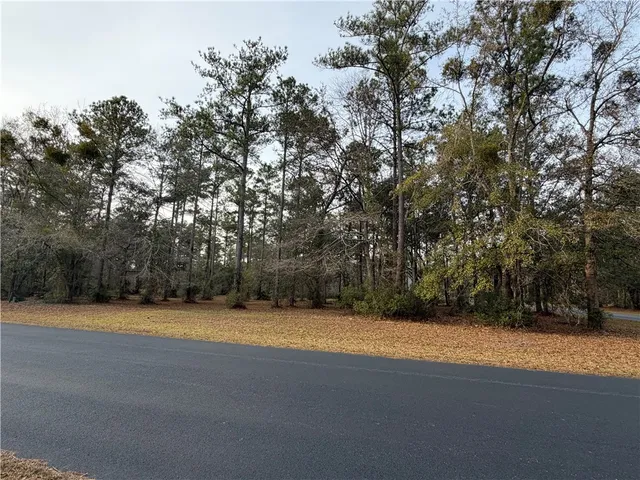 $29,900 | 682 Wood Stork Drive Northeast, Townsend, GA 31331