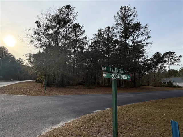 $29,900 | 682 Wood Stork Drive Northeast, Townsend, GA 31331