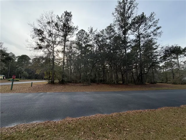 $29,900 | 682 Wood Stork Drive Northeast, Townsend, GA 31331