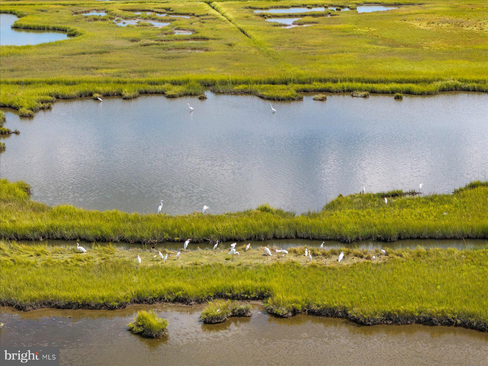 37292 Lighthouse Road, Unit 202 Selbyville, DE 19975 - Photo 63 of 78 a view of an ocean and beach