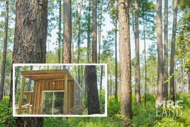 a view of a house with a small yard and plants