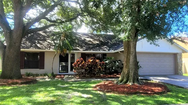 a view of a backyard with a tree