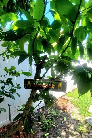 a bird view of a small room