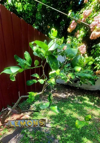 a view of swimming pool