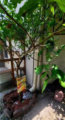 a view of a porch with a bench