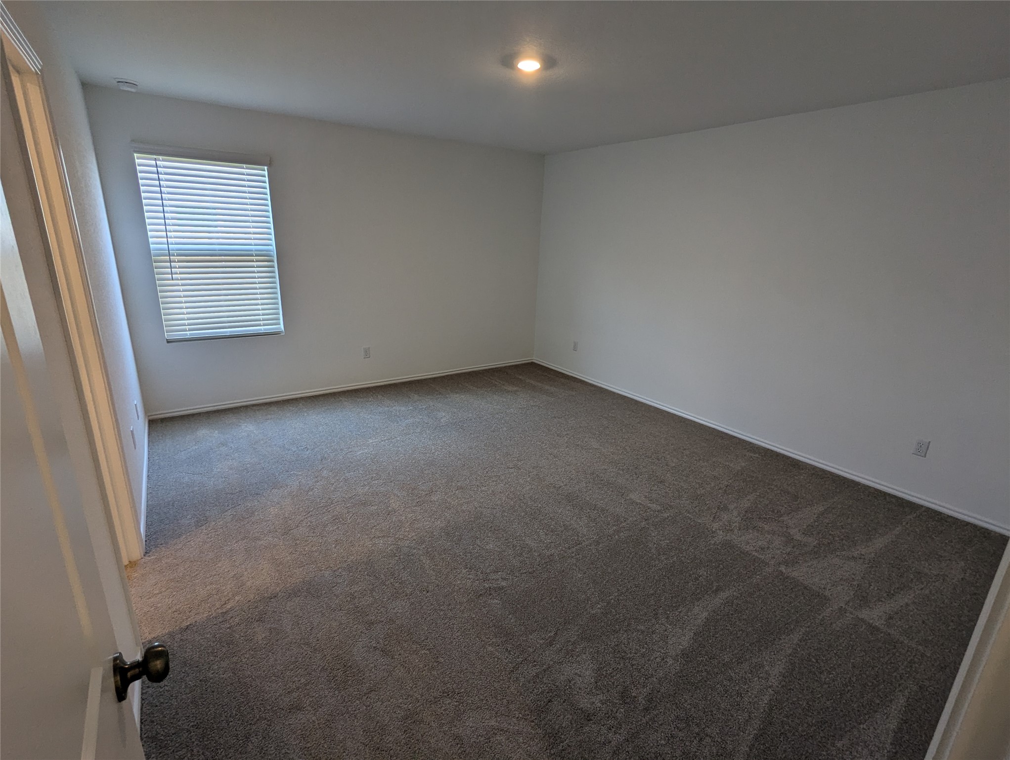 344 Marty Allen Loop Jarrell, TX 76537 - Photo 14 of 28