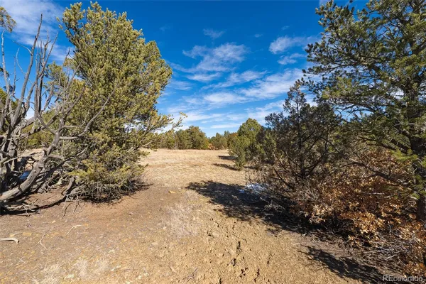 a view of a snow on the beach