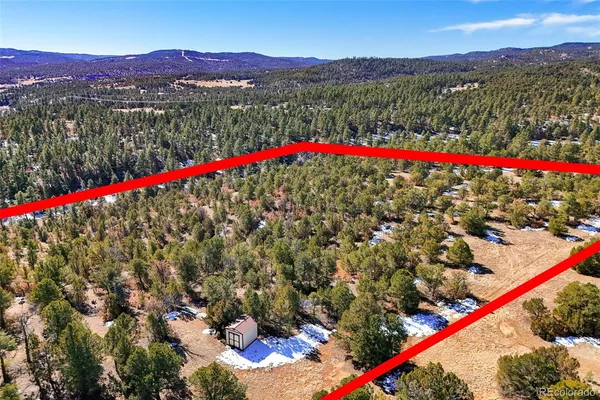 a view of a yard along with trees