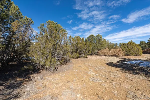 a view of dirt yard with mountain view