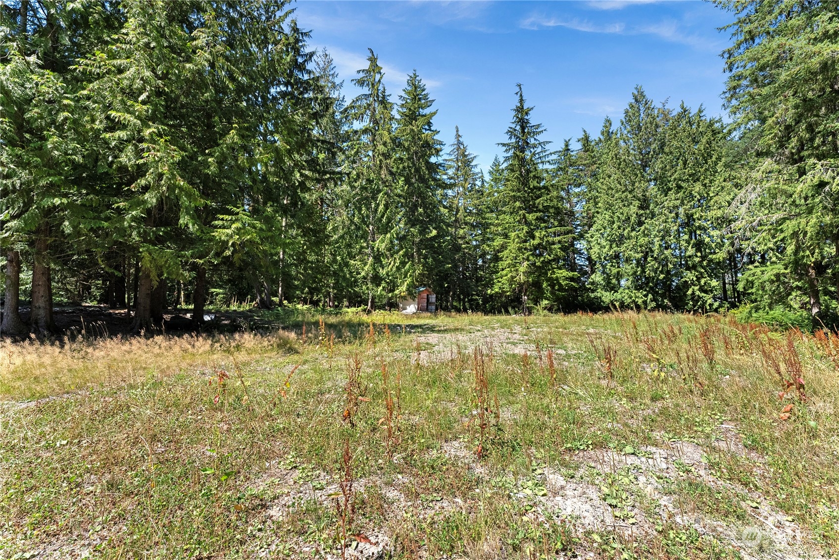 66 Peter Hagen Road Northwest Seabeck, WA 98380 - Photo 18 of 26 a view of swimming pool from a yard