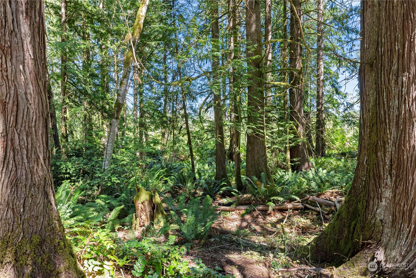 66 Peter Hagen Road Northwest Seabeck, WA 98380 - Photo 19 of 26 a view of a garden