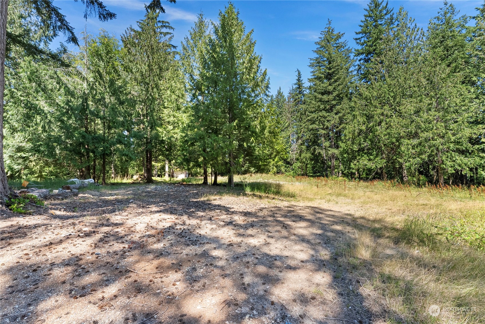 66 Peter Hagen Road Northwest Seabeck, WA 98380 - Photo 20 of 26 a view of a yard with plants and trees