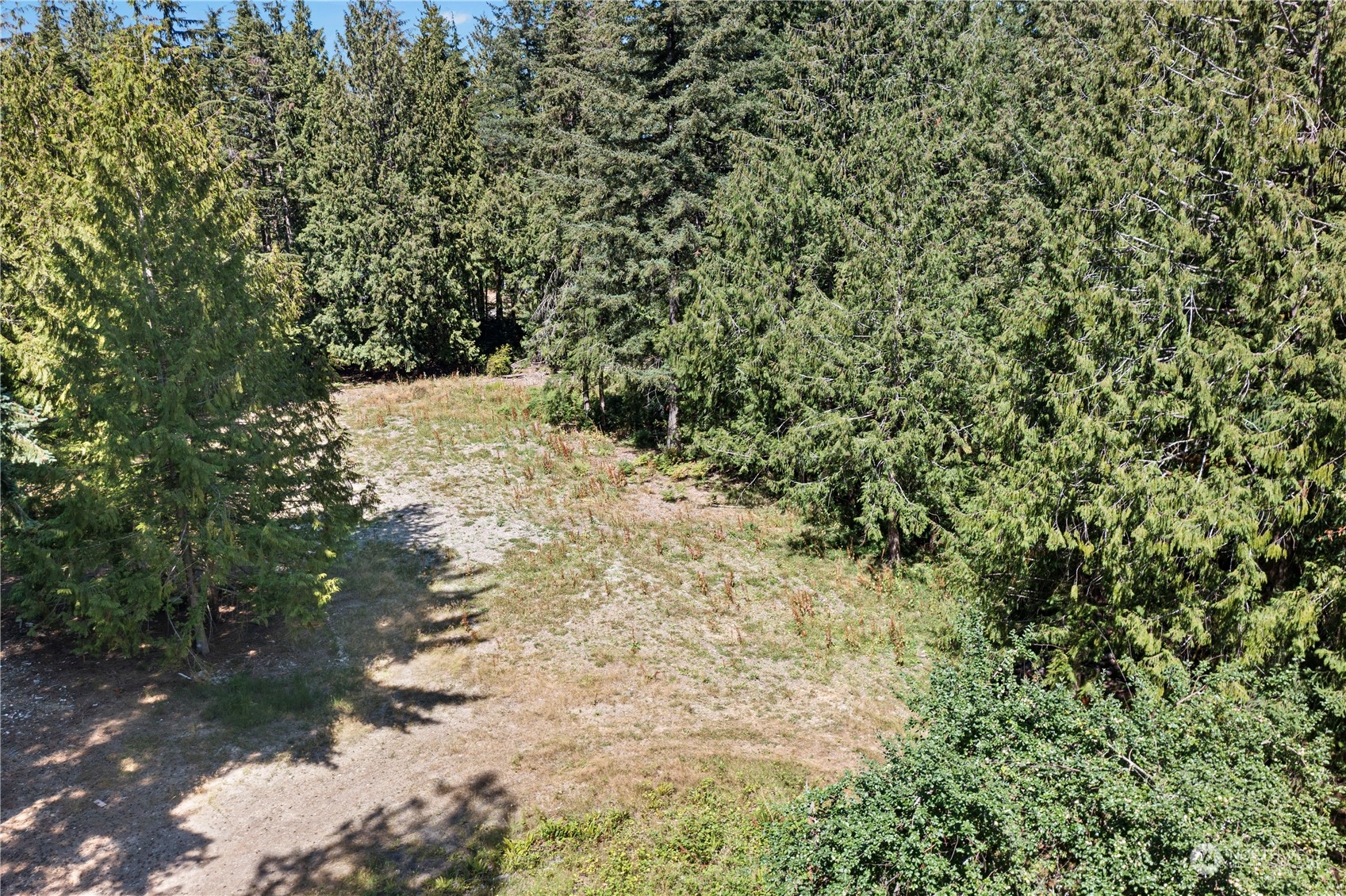 66 Peter Hagen Road Northwest Seabeck, WA 98380 - Photo 23 of 26 a view of a yard with plants and trees