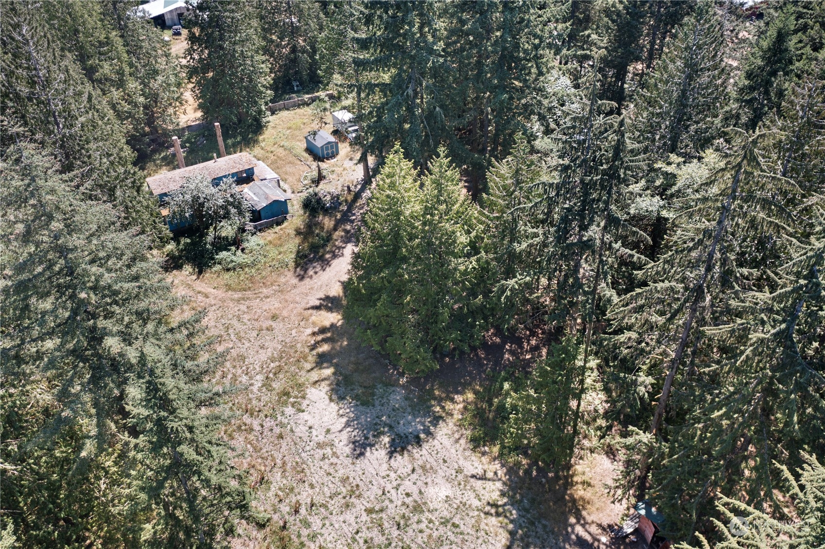 66 Peter Hagen Road Northwest Seabeck, WA 98380 - Photo 25 of 26 a view of a yard in a forest