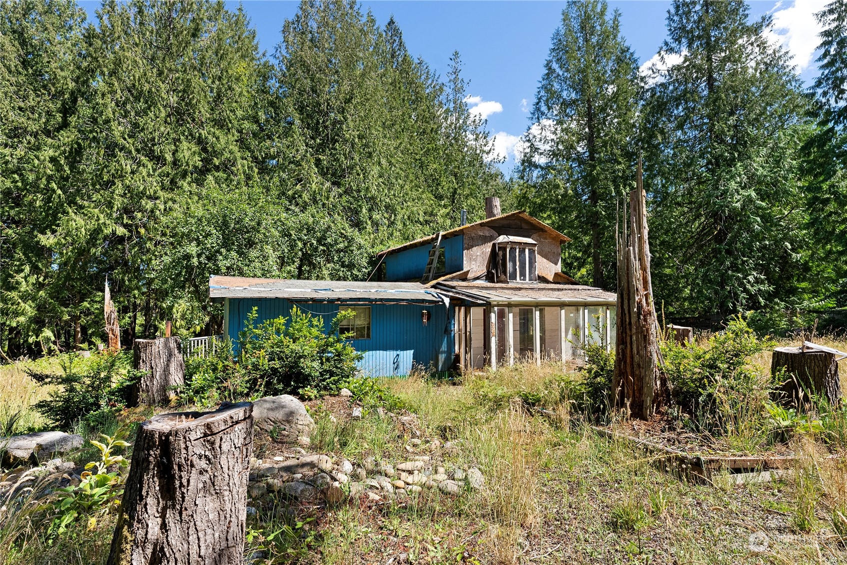 66 Peter Hagen Road Northwest Seabeck, WA 98380 - Photo 26 of 26 a view of a house with a yard and plants