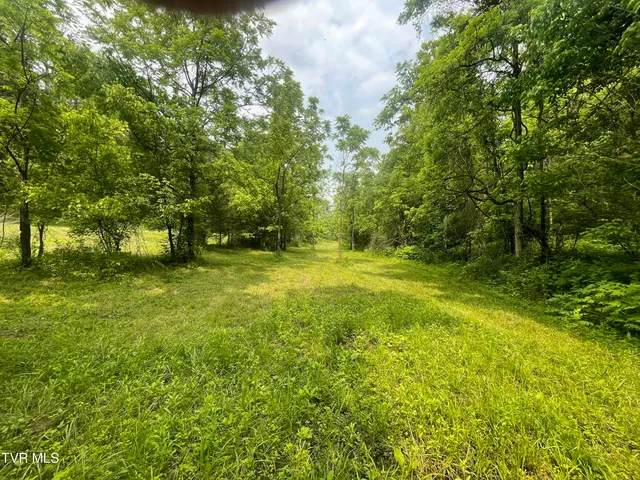 $30,000 | 1028 East Pumpkin Valley Road, Eidson, TN 37731