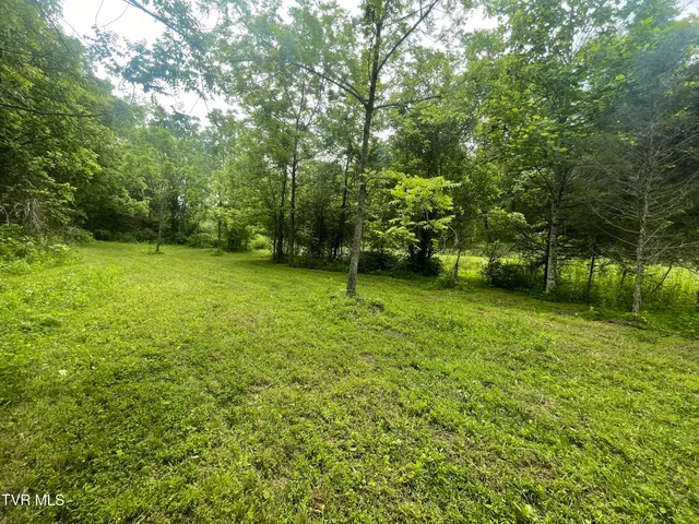 $30,000 | 1028 East Pumpkin Valley Road, Eidson, TN 37731