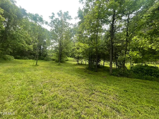 $30,000 | 1028 East Pumpkin Valley Road, Eidson, TN 37731