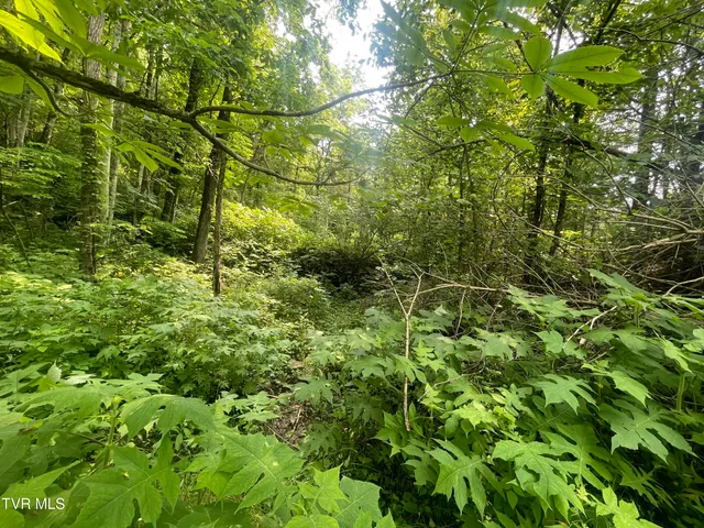 $30,000 | 1028 East Pumpkin Valley Road, Eidson, TN 37731