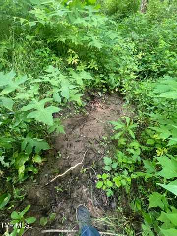 $30,000 | 1028 East Pumpkin Valley Road, Eidson, TN 37731