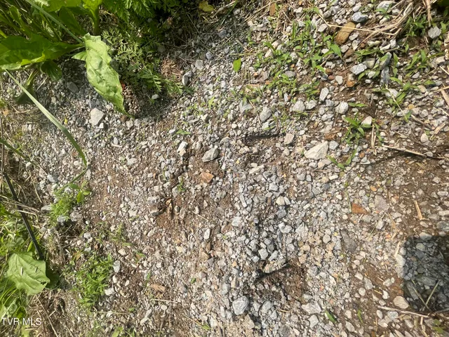 $30,000 | 1028 East Pumpkin Valley Road, Eidson, TN 37731