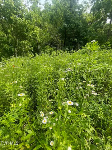 $30,000 | 1028 East Pumpkin Valley Road, Eidson, TN 37731