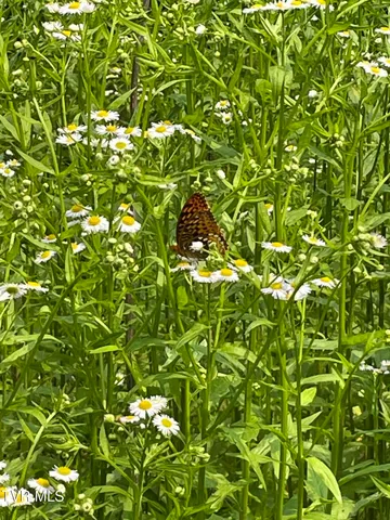 $30,000 | 1028 East Pumpkin Valley Road, Eidson, TN 37731