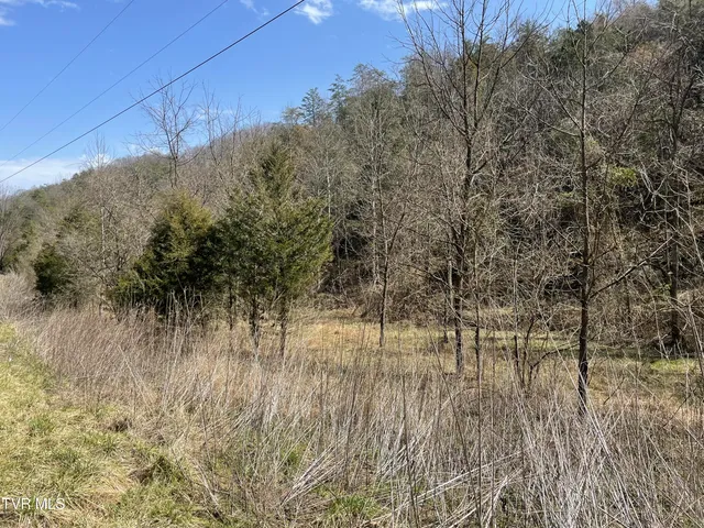 $30,000 | 1028 East Pumpkin Valley Road, Eidson, TN 37731