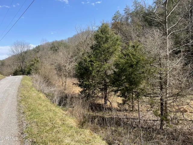 $30,000 | 1028 East Pumpkin Valley Road, Eidson, TN 37731