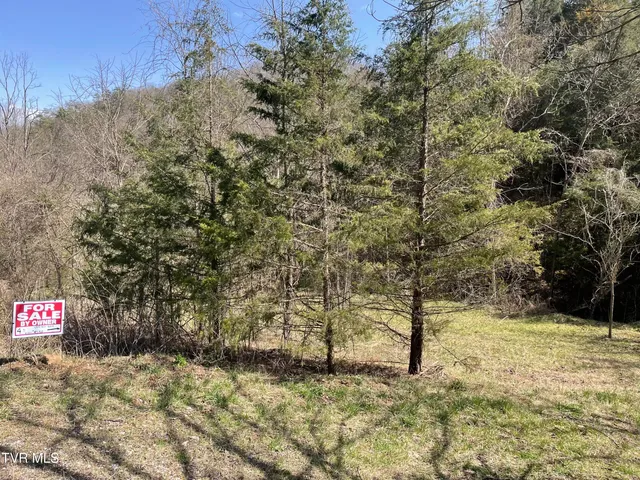 $30,000 | 1028 East Pumpkin Valley Road, Eidson, TN 37731