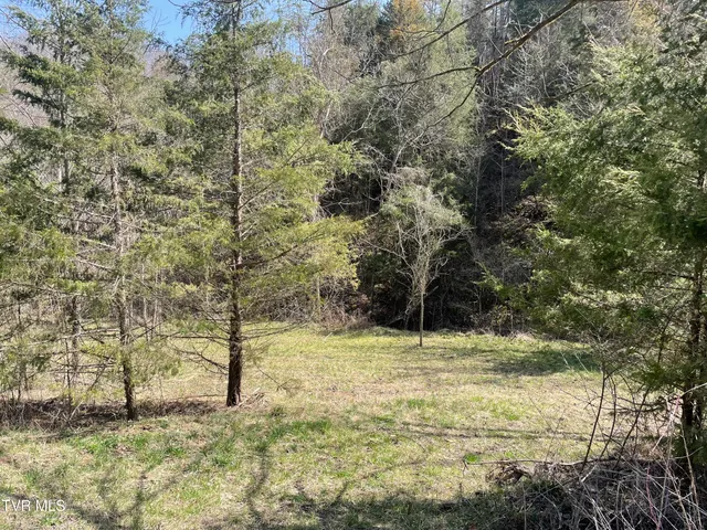 $30,000 | 1028 East Pumpkin Valley Road, Eidson, TN 37731