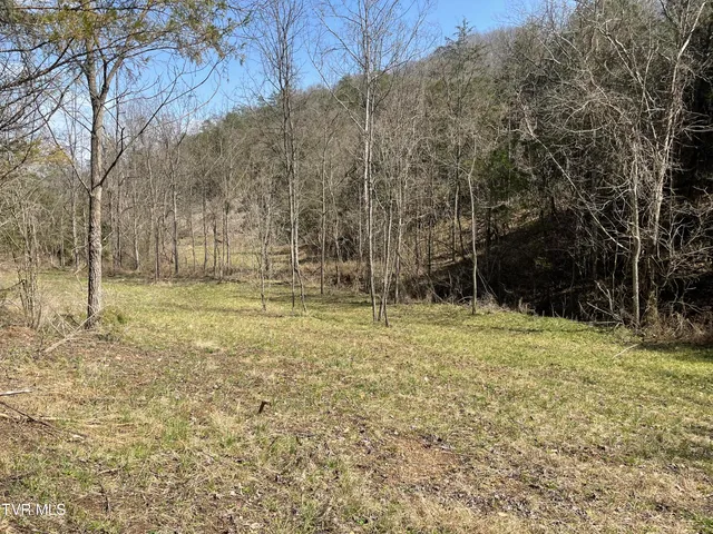 $30,000 | 1028 East Pumpkin Valley Road, Eidson, TN 37731